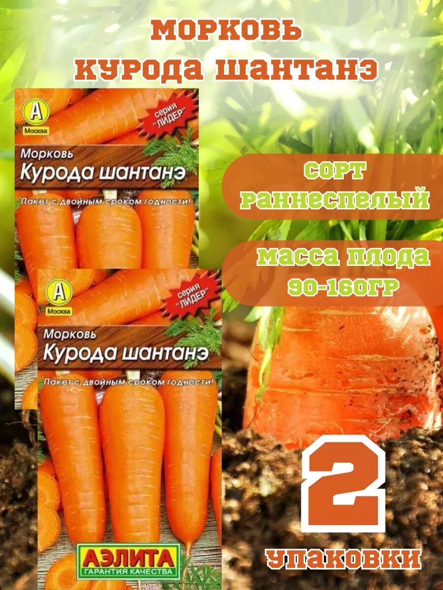 Морковь Курода Шантанэ 2уп