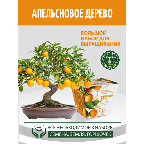 Набор для выращивания 