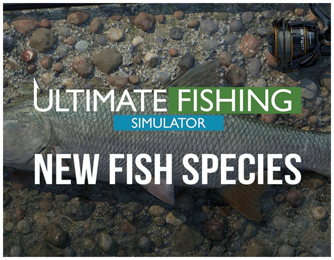 Ultimate Fishing Simulator - New Fish Species