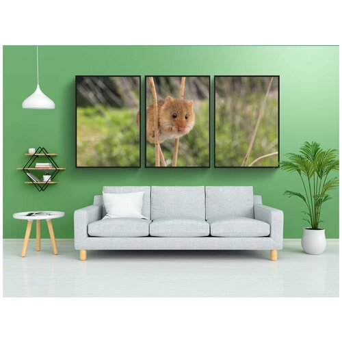 фото Набор модулных постеров для интерьера "урожай мышь, небольшой, застенчивый" 60x90 см. в тубусе, без рамки lotsprints