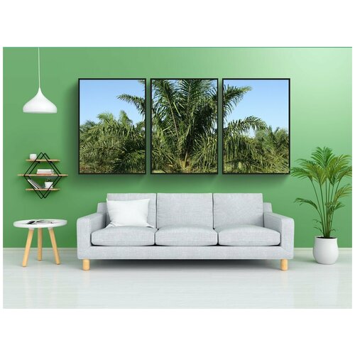 фото Набор модулных постеров для интерьера "пальмовое масло, дерево, плантация" 60x90 см. в тубусе, без рамки lotsprints