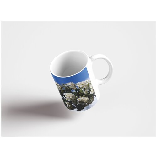 фото Кружка "кустарник, декоративный кустарник, куст" 320 мл lotsprints