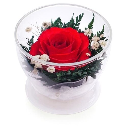 Natural Flower Products Co. Роза в стекле CuSr1 (8,5 см)