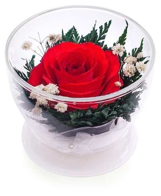 Стабилизированные цветы в стекле "Тайна" | композиция из красной розы в вакууме