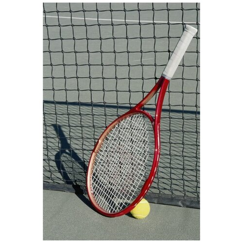 фото Постер на холсте теннисная ракетка и мяч №1 50см. x 76см. твой постер