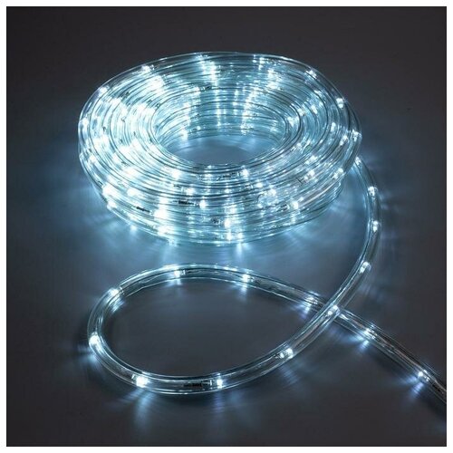 LED шнур 10 мм, круглый, 10 м, чейзинг, 2W-LED/м-24-220V, с контр. 8р, белый