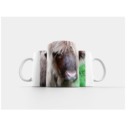 фото Кружка "шотландский высокогорный скот, шотландия, говядина" 320 мл lotsprints