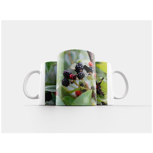фото Кружка "ежевика, чернить, ягоды" 320 мл lotsprints