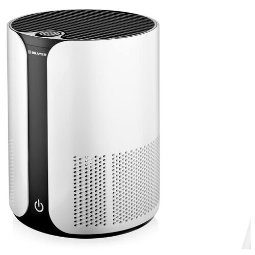 Очиститель Brayer BR4930 1145700₽