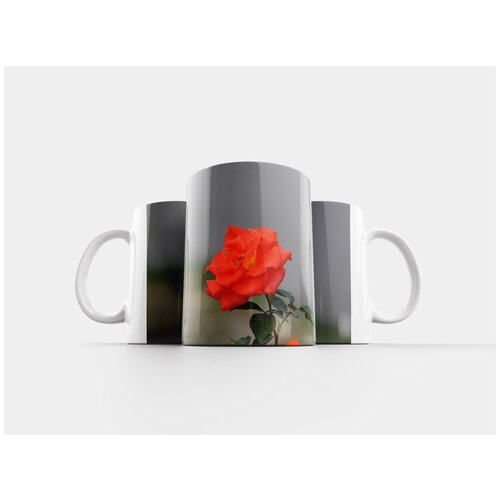 фото Кружка "сад, роза, цветок" 320 мл lotsprints
