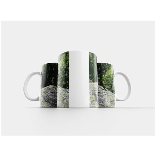 фото Кружка "горихвостка, птица, камень" 320 мл lotsprints