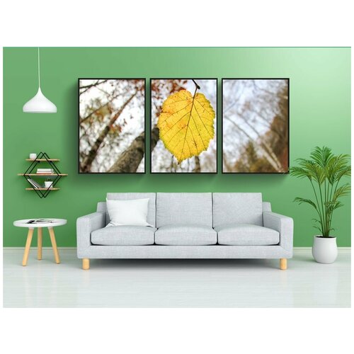 фото Набор модулных постеров для интерьера "падение, сезон, лист" 60x90 см. в тубусе, без рамки lotsprints
