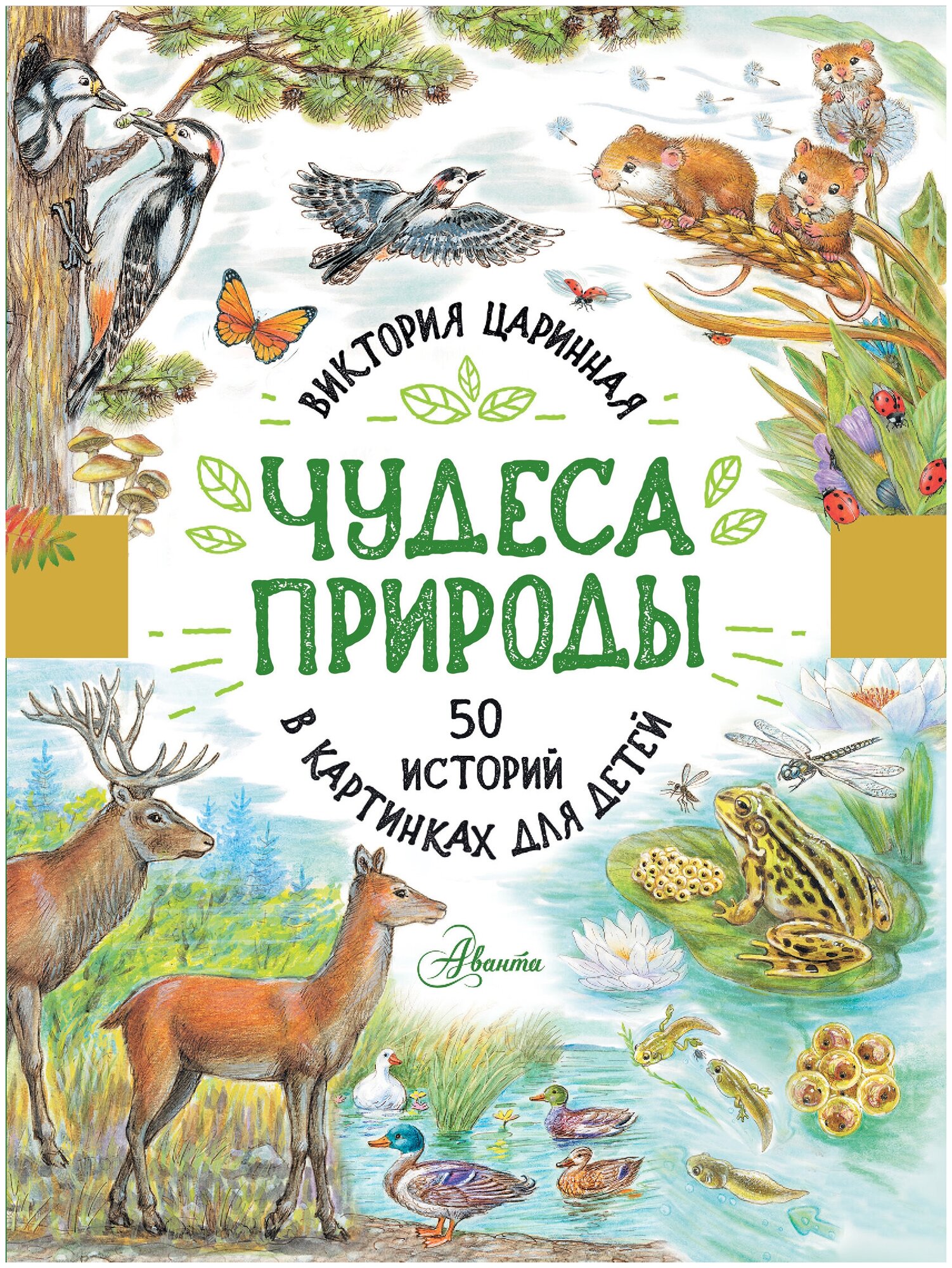 Чудеса природы. 50 историй в картинках для детей Царинная В. А.