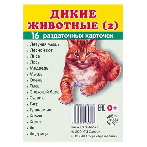 Книга Творческий Центр СФЕРА Дикие животные (2), 8.7х6.3 см плакат творческий центр сфера дикие животные 2