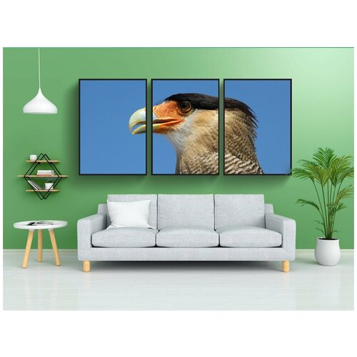 фото Набор модулных постеров для интерьера "чаракара, адлерварт, хищник" 60x90 см. в тубусе, без рамки lotsprints