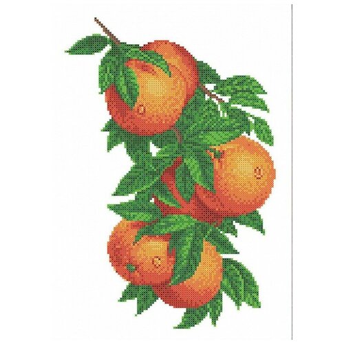 Купить Апельсин Рисунок на канве 22, 5х28 Каролинка КК 062 22, 5х28 Каролинка КК 062)