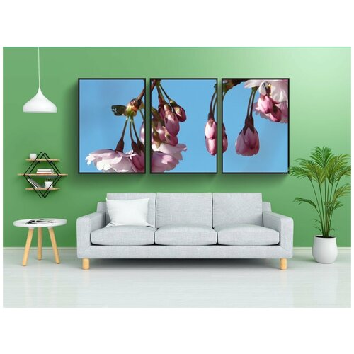 фото Набор модулных постеров для интерьера "декоративная вишня, бутон, расцветает" 60x90 см. в тубусе, без рамки lotsprints