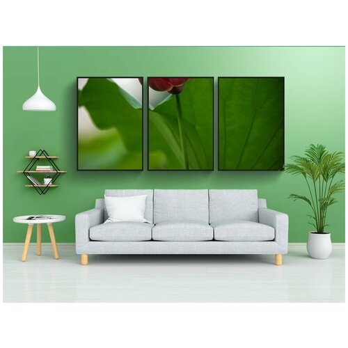 фото Набор модулных постеров для интерьера "лотос, цветок, листья" 60x90 см. в тубусе, без рамки lotsprints