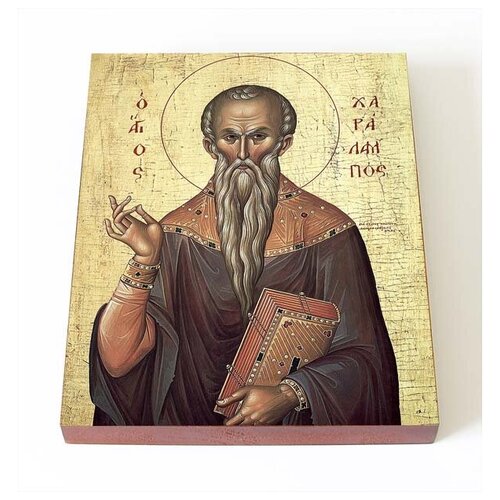 Священномученик Харалампий Магнезийский, икона на доске 8*10 см священномученик харалампий магнезийский печать на доске 8 10 см