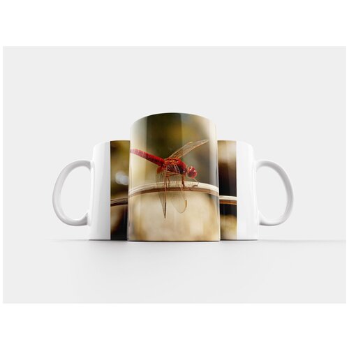 фото Кружка "красная стрекоза, crocothemis erythraea, ветвь" 320 мл lotsprints