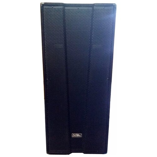 Активная акустическая система Soundking KJ215A 5125000₽