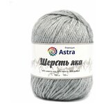 Пряжа Astra Premium 'Шерсть яка' (Yak wool), 100 г, 120 м (+/-5%) (25% шерсть яка, 50% шерсть, 25% фибра), 2 мотка - изображение