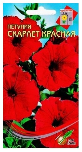 фото Петуния Скарлет красная, 300 семян