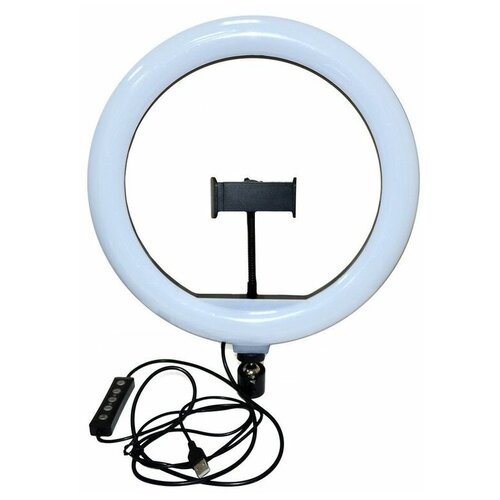 Кольцевая лампа 30 см RGB цветная 219000₽