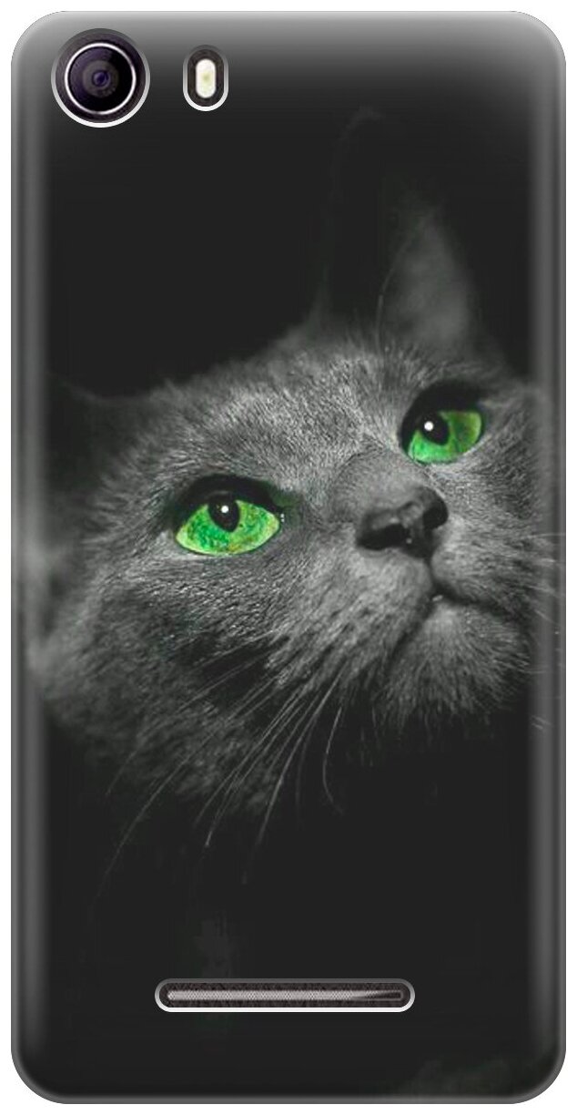 Силиконовый чехол Зеленоглазая кошка на BQ BQS - 5065 Choice / Би Кью 5065