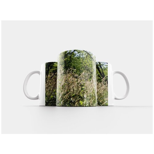 фото Кружка "природа, лист, флора" 320 мл lotsprints