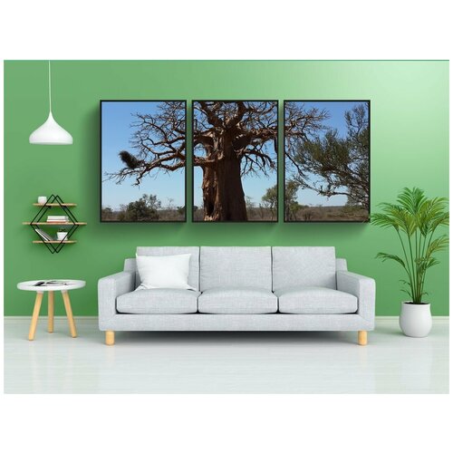 фото Набор модулных постеров для интерьера "баобаб, дерево, африканский куст" 60x90 см. в тубусе, без рамки lotsprints