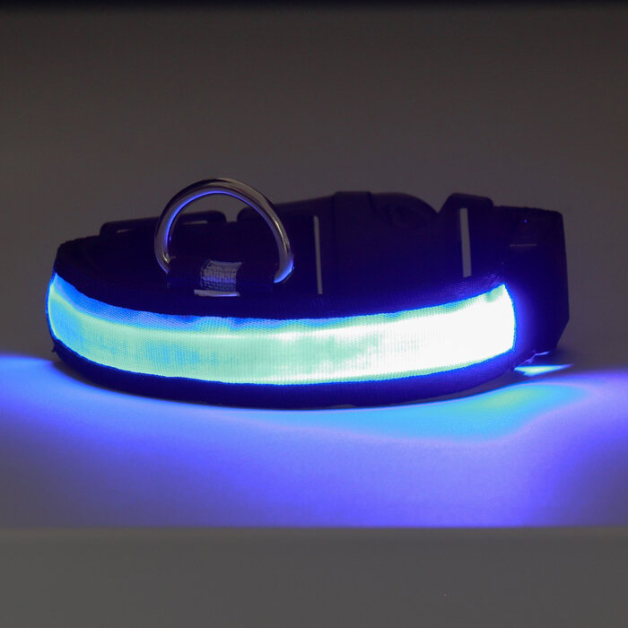 фото Ошейник с подсветкой "Flash", 3 режима свечения, размер S, ОШ 35-43 х 2,5 см, синий 9772209