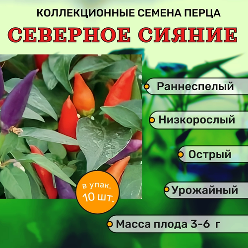 Коллекционные семена перца острого Северное сияние