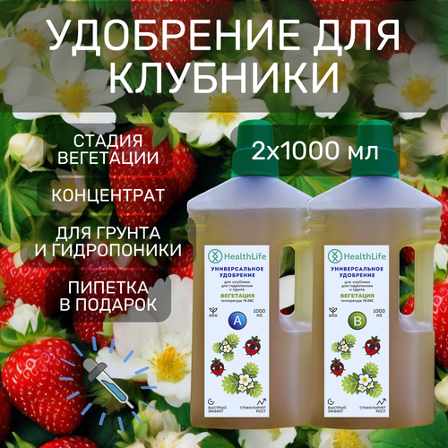 Комплекс HealthLife Удобрение для клубники А+В стадия Вегетация (2 по 1000 мл) концентрат для гидропоники и грунта увеличивает урожайность