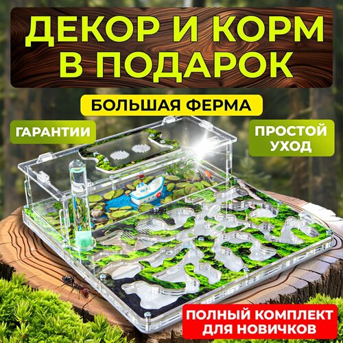 Муравьиная ферма Макси Мох с декором и кормом в подарок 2899₽
