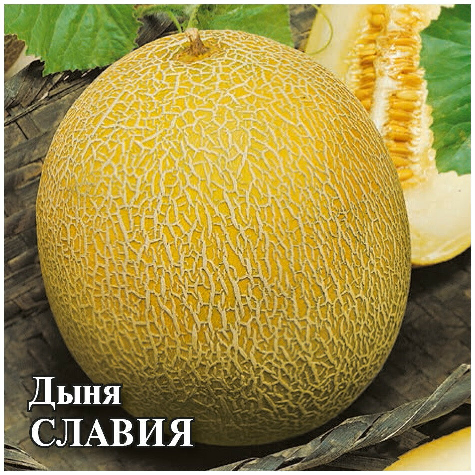 Семена Дыня Славия 100г Гавриш Фермерское подворье