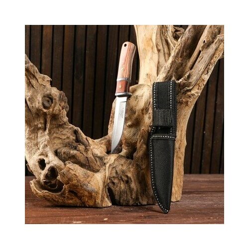 фото Нож охотничий "атли", светлая рукоять, 16 см, клинок 8 см, мастер к