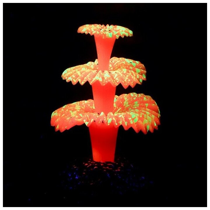 Декор для аквариума"Коралл на платформе" силиконовый, 5 х 5 х 8 см, розовый 7108838 . - фотография № 4