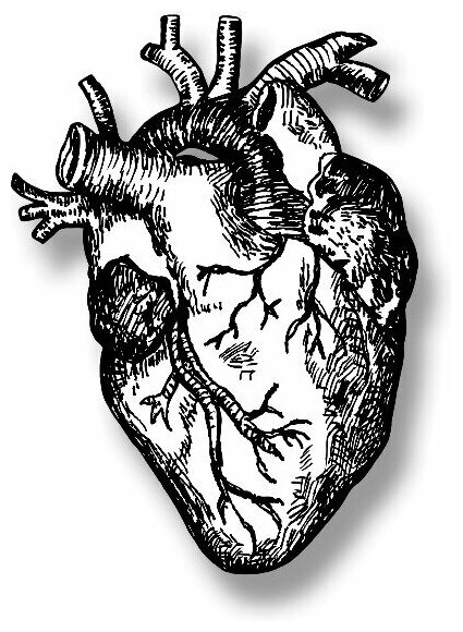 Дело сердца. История сердца в 11 операциях - фото №18