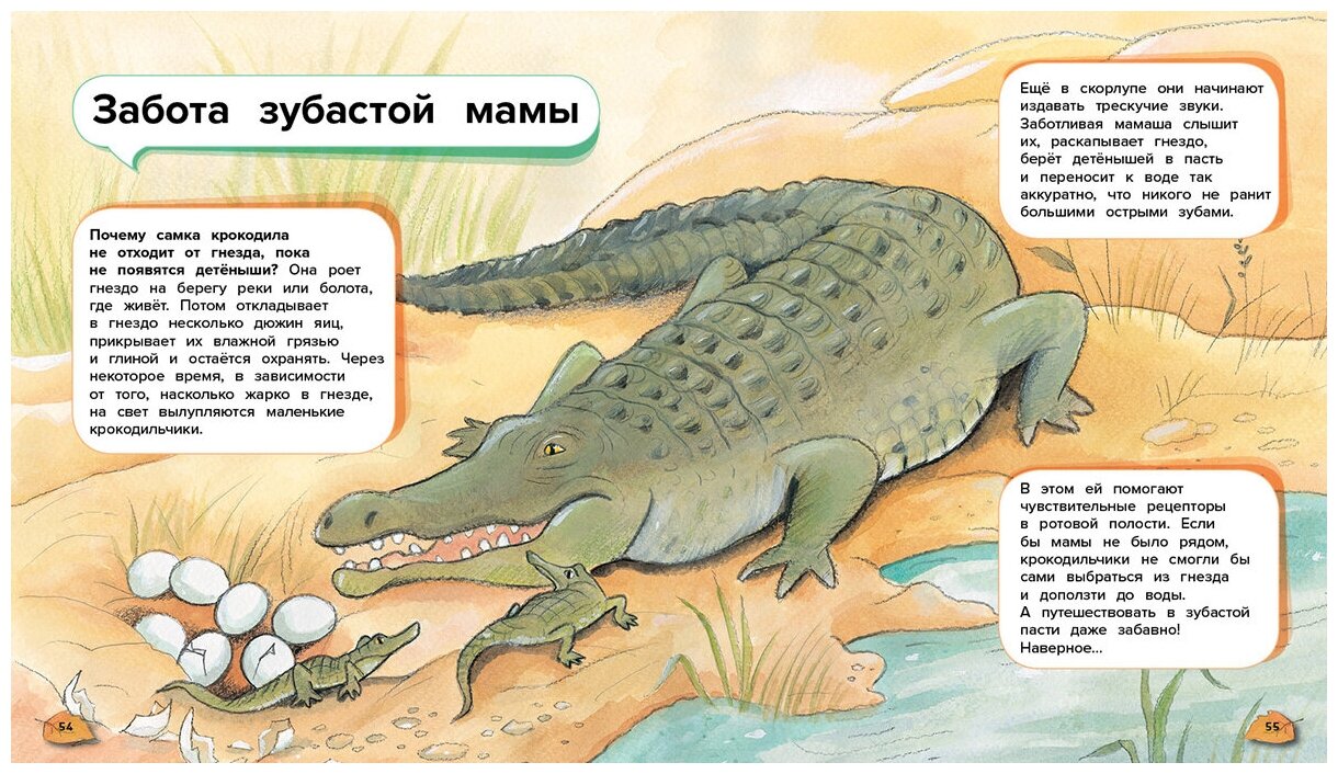 Чудеса животного мира. 44 удивительн.факта о жизни - фото №8