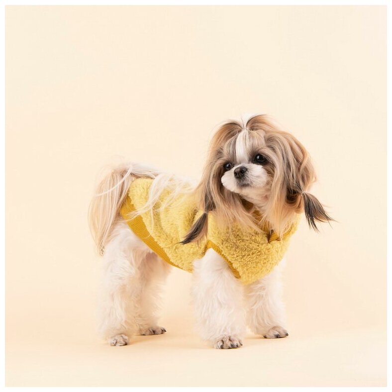 PUPPIA Толстовка для собак с капюшоном "Willa", горчичный, XL, 34.5см (Южная Корея) - фото №4