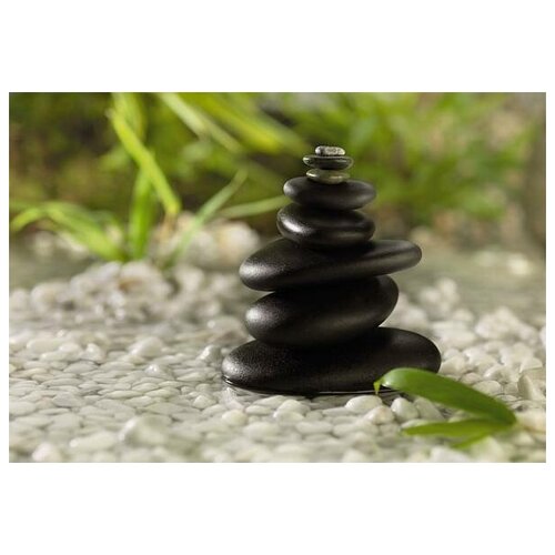 Фотообои Komar 1-612 Фэн Шуй 1,84x1,27 м