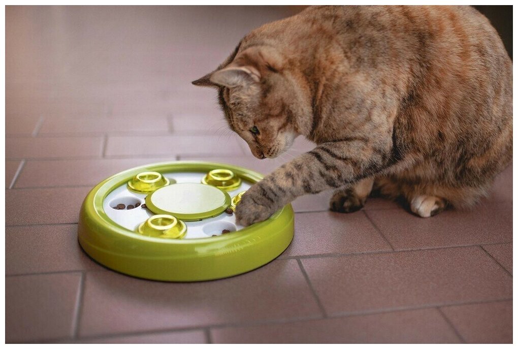 Интерактивная игрушка кормушка для медленного поедания корма для собак и кошек Ferplast Discover (1 шт) - фотография № 2