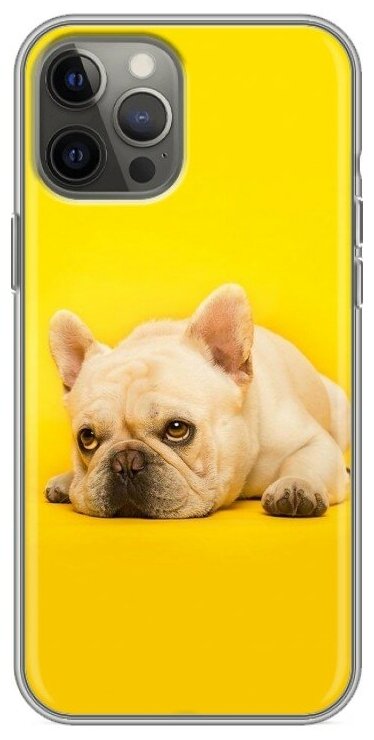 Дизайнерский силиконовый чехол для Айфон 12 Про Макс / Iphone 12 Pro Max Собака бульдог