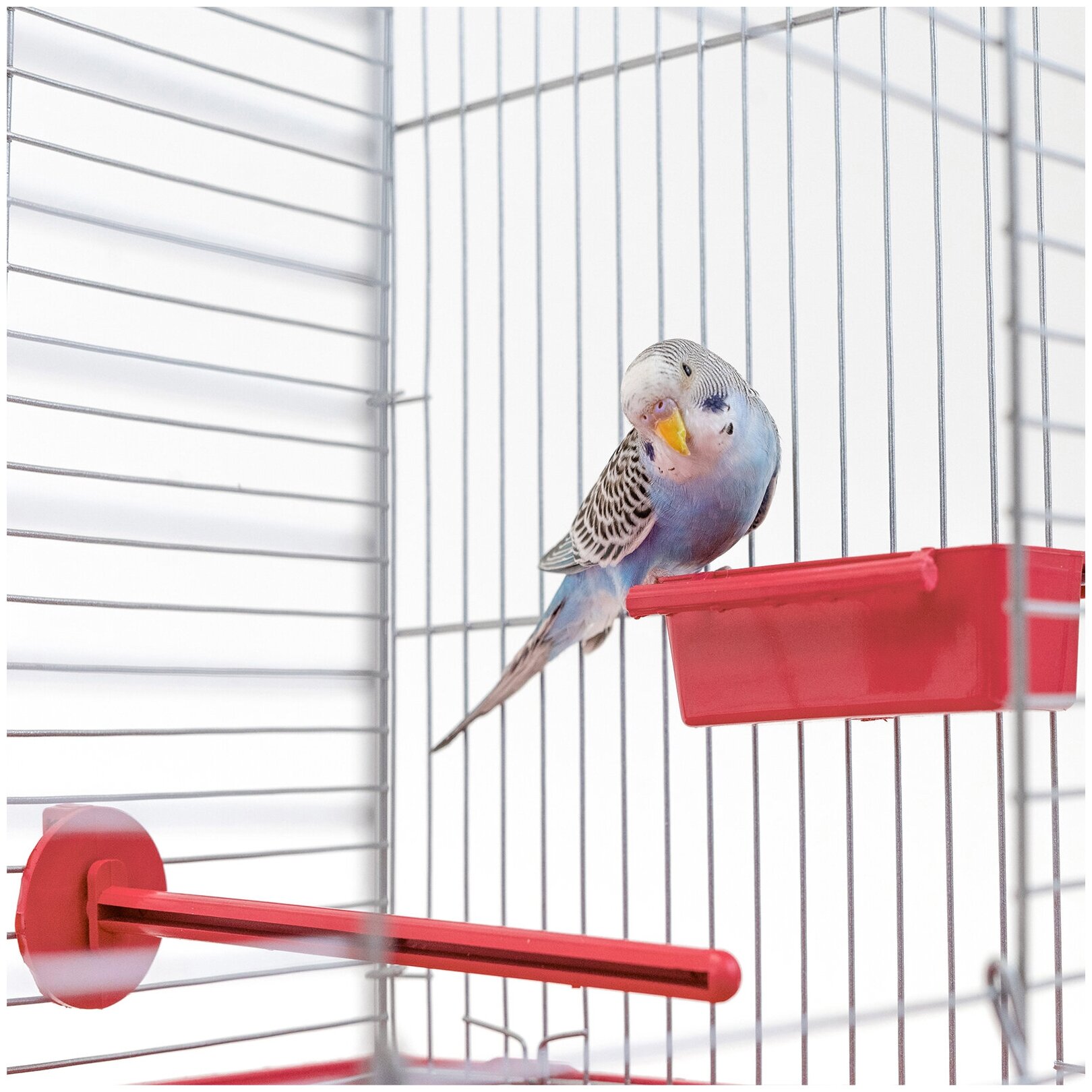 Клетка для птиц 88 х 58 х 40см: для попугая, для канарейки ЛОФТ-2 разборная "PetTails", 2 секции, шаг прута 12мм, рубиновая - фотография № 8