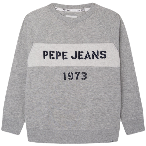 фото Толстовка для мальчиков, pepe jeans london, модель: pb581435, цвет: серый, размер: 4
