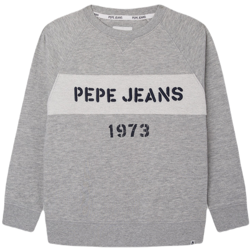 толстовка для мальчиков, Pepe Jeans London, модель: PB581435, цвет: серый, размер: 6