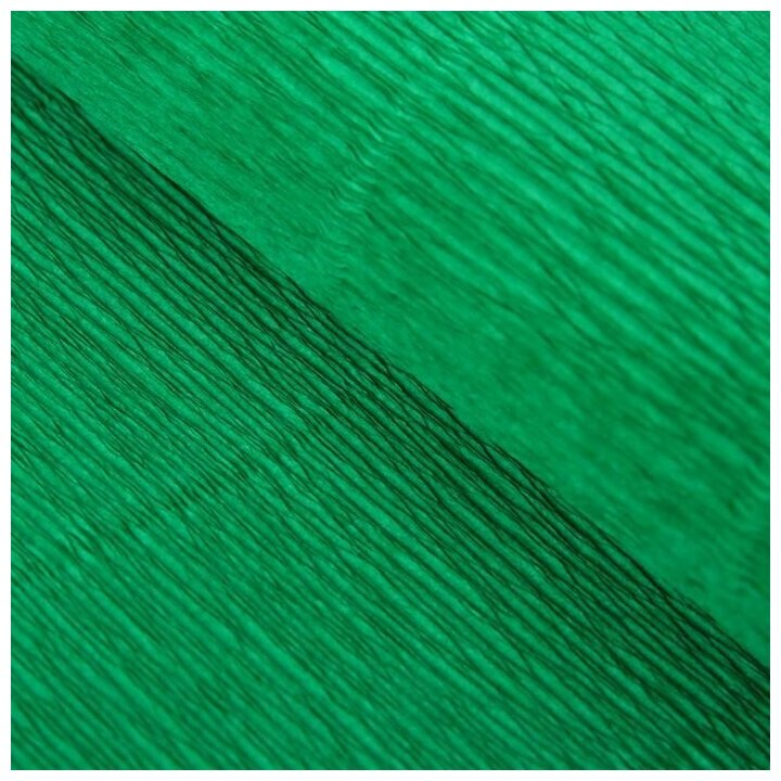 Бумага для упаковок и поделок, Cartotecnica Rossi, гофрированная, зеленая, однотонная, двусторонняя, рулон 1 шт, 0,5 х 2,5 м