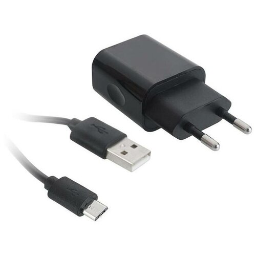 СЗУ адаптер 2 USB 2.1A + Дата-кабель Micro USB 2А (100 см) черный, BoraSCO