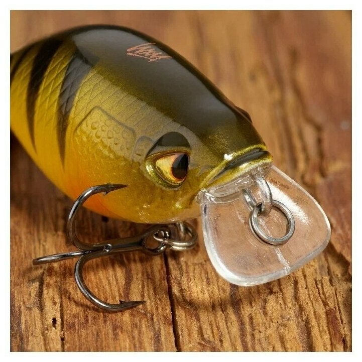 Воблер Decathlon Caperlan Crankbait Shallow Runner WXM CRKSR 40 F, 40 мм, 4 г — фото 1